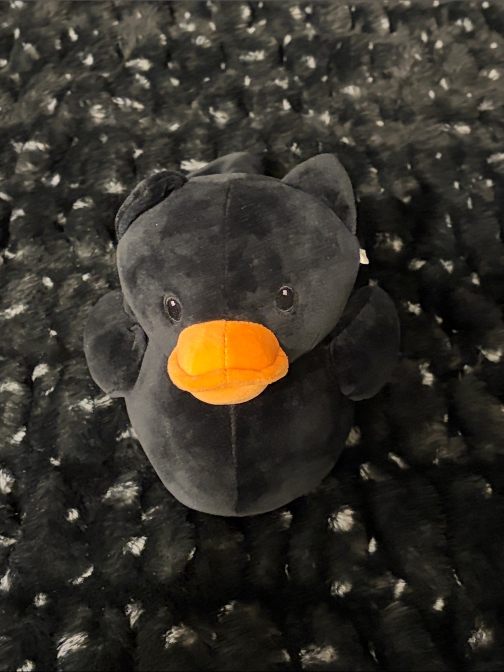Black Plush Halloween Duck